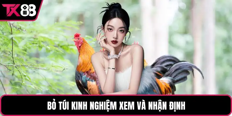 Bỏ túi kinh nghiệm xem và nhận định