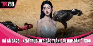 Đá gà GA28