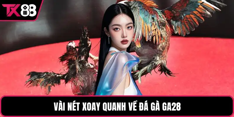 Vài nét xoay quanh về đá gà GA28